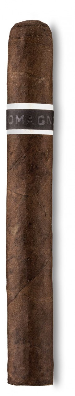 CroMagnon Anthropology