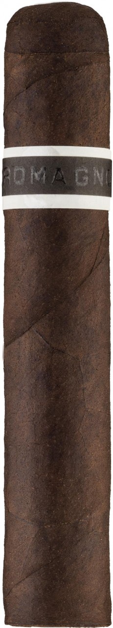 CroMagnon EMH