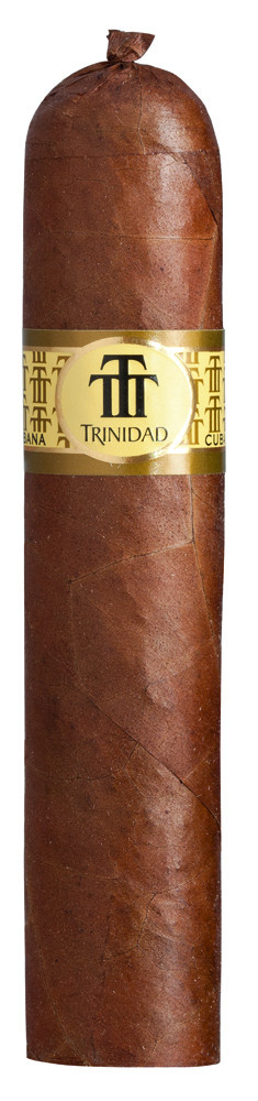 Trinidad Vigía