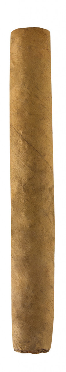 Ashton Small Cigars Connecticut Half Corona