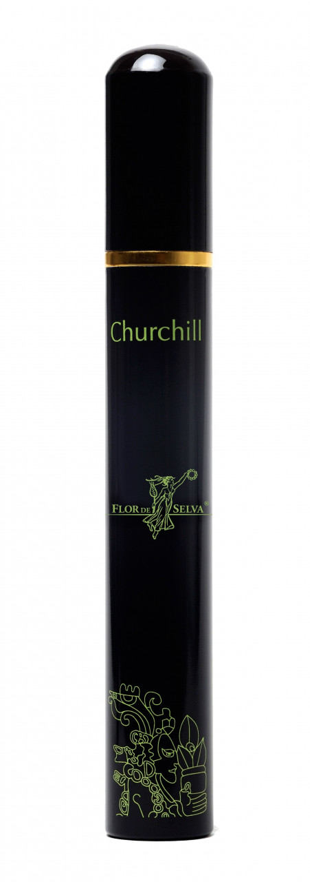 Flor de Selva Churchill Tube