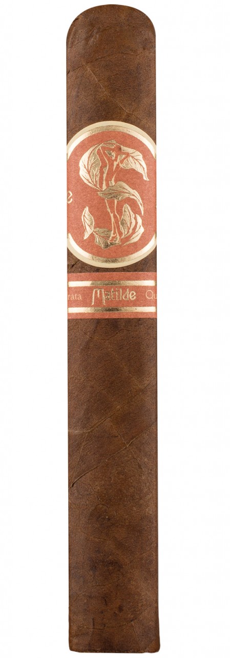 Matilde Quadrata Robusto