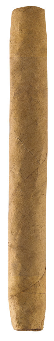 Ashton Small Cigars Connecticut Senoritas